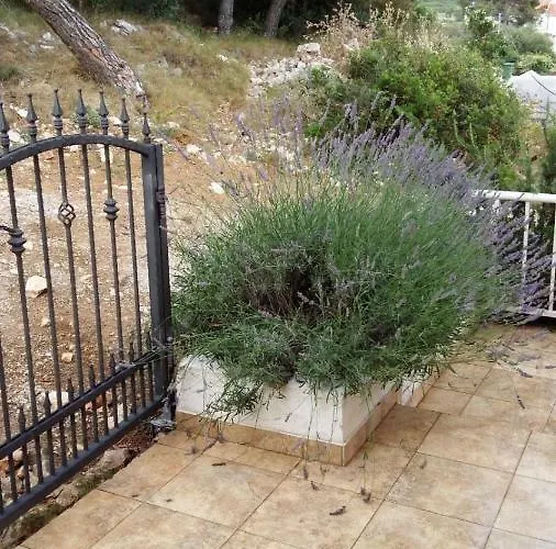 Lizzi * Трогір