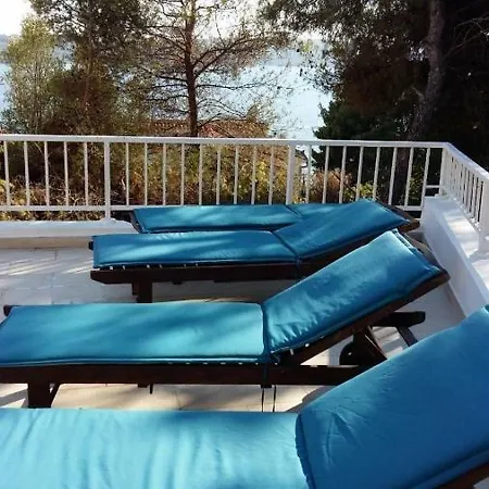 Lizzi Trogir